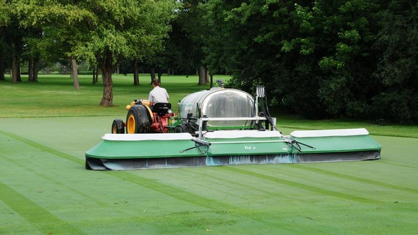 Kỹ thuật trồng cỏ sân golf - kỹ thuật chăm sóc cỏ sân golf tiêu chuẩn