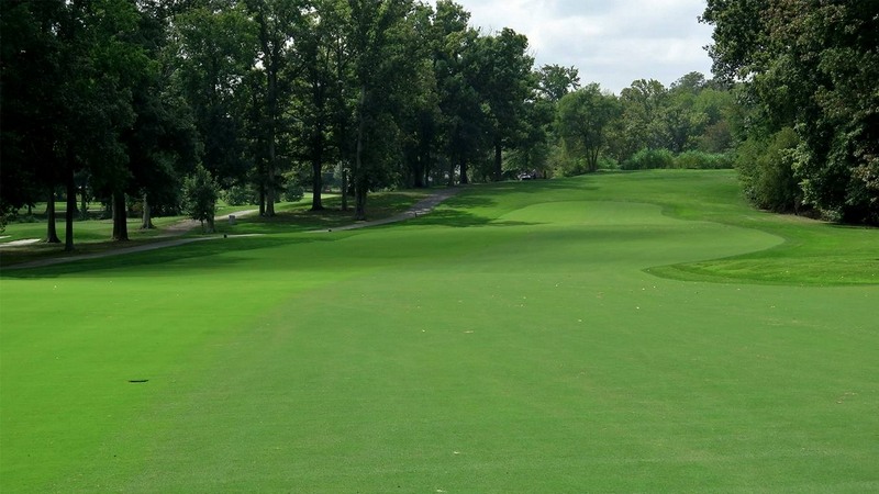 Fairway trong golf là gì?