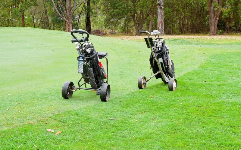 Loại xe kéo golf buggy