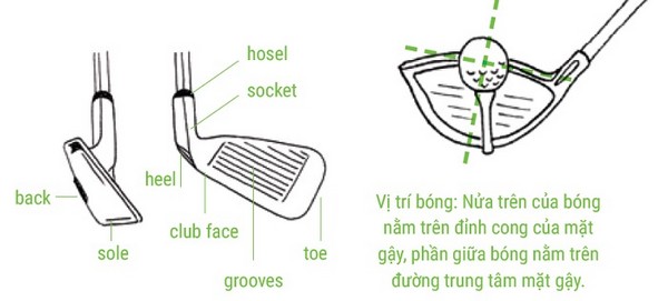 Chi tiết về cấu tạo gậy golf chuẩn