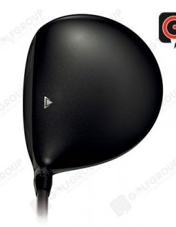 hinh-anh-gay-driver-titleist-917-d2-2