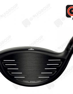hinh-anh-gay-driver-titleist-917-d2-3