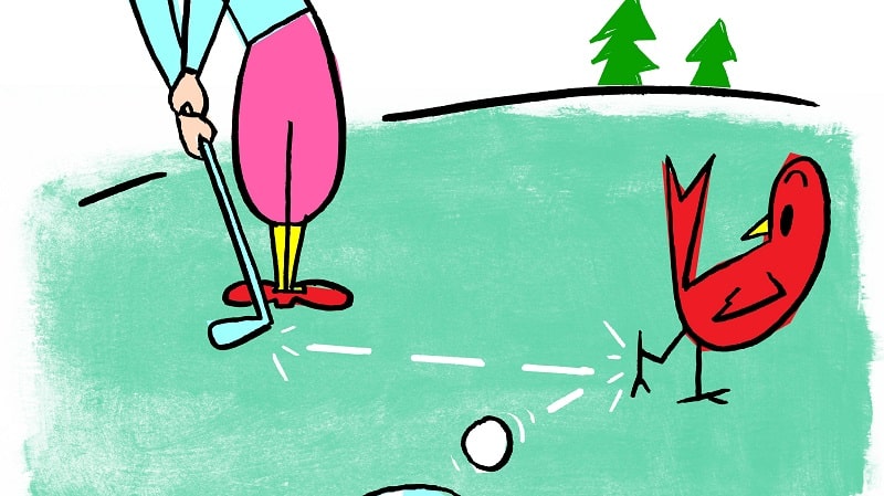 giải nghĩa thuật ngữ birdie trong thi đấu golf