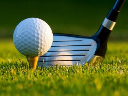 best gross có nghĩa là tổng số điểm số tốt nhất mà golfer đạt được trong trận đấu. 