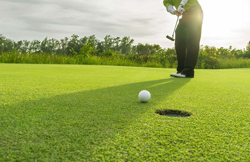 Sonadezi được định hướng xây dựng theo mô hình sân golf hiện đại
