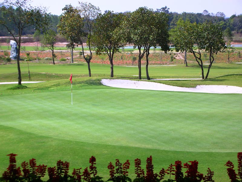 Sân golf Happy được thiết kế với tổng diện tích là 2.8 ha