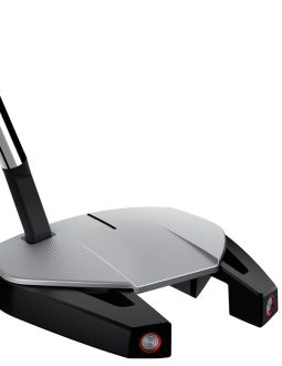 Mặt trên của gậy putter TaylorMade Spider GT