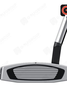 hinh-anh-gay-putter-taylormade-gt-bac-2