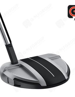 hinh-anh-gay-putter-taylormade-spider-gt-rollback-10