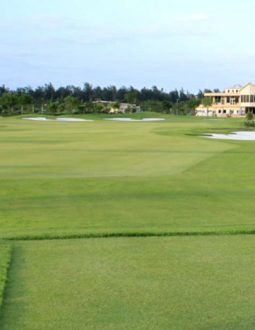 Sân Golf Nghệ An: Top 2 Điểm Đến Ấn Tượng, Hấp Dẫn Golfer