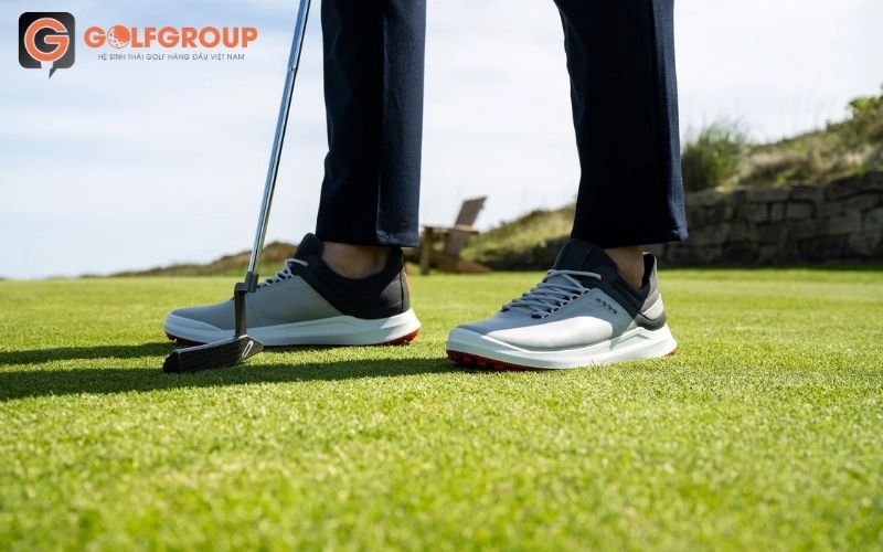 ECCO GOLF CORE - Bộ sưu tập giày chơi golf mới nhất