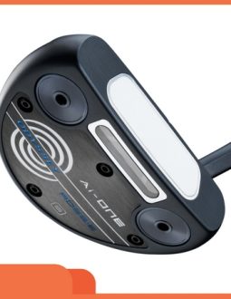 hinh-anh-gay-golf-putter-odyssey-ai-one-rossie-s