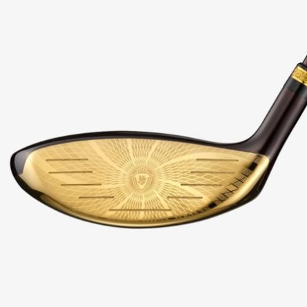 hinh-anh-gay-golf-fairway-majesty-prestigio-13 (4)