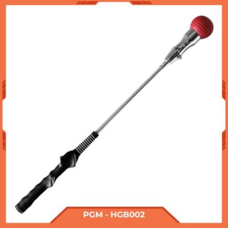 hinh-anh-gay-tap-the-luc-swing-PGM-HGB002