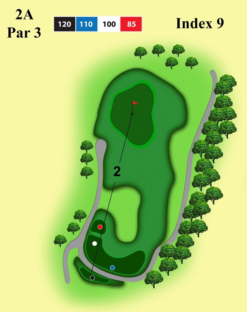 Một dạng hố golf par 3