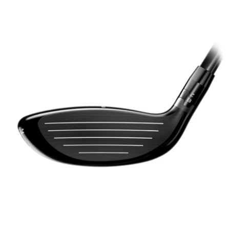 hinh-anh-gay-golf-titleist-fairway-gt-9