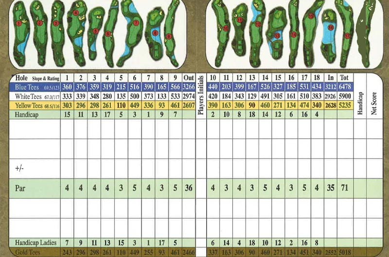 Ghi chép, phân tích thông số cú đánh là việc làm cần thiết khi tập golf