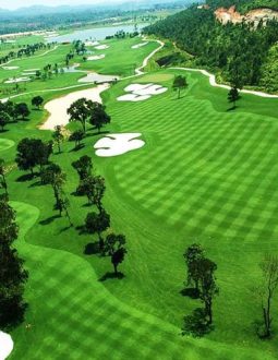 Sân Golf Link Là Gì? Khám Phá Các Đặc Điểm Và Kinh Nghiệm Chơi