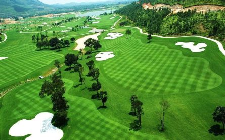 Sân Golf Link Là Gì? Khám Phá Các Đặc Điểm Và Kinh Nghiệm Chơi