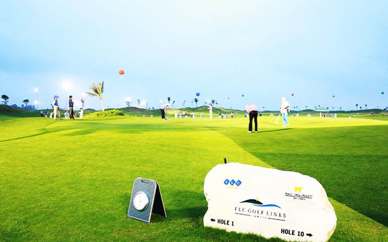 sân golf links thường sử dụng các loại cỏ tự nhiên, có khả năng chịu được điều kiện thời tiết khắc nghiệt và địa hình gồ ghề