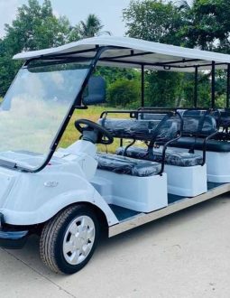 Xe Sân Golf Chạy Xăng - Sức Mạnh Vượt Trội Trên Mọi Địa Hình