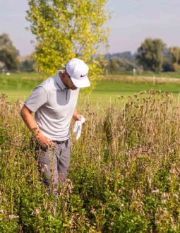 Mất Bóng Golf Phạt Mấy Gậy? Luật Quy Định Thế Nào?