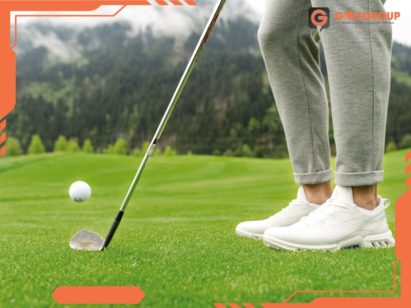 Giày Golf ECCO M Golf Biom C4 13040401007