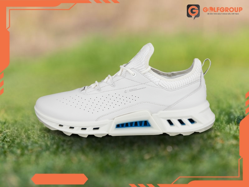 Giày Golf ECCO M Golf Biom C4 13040401007