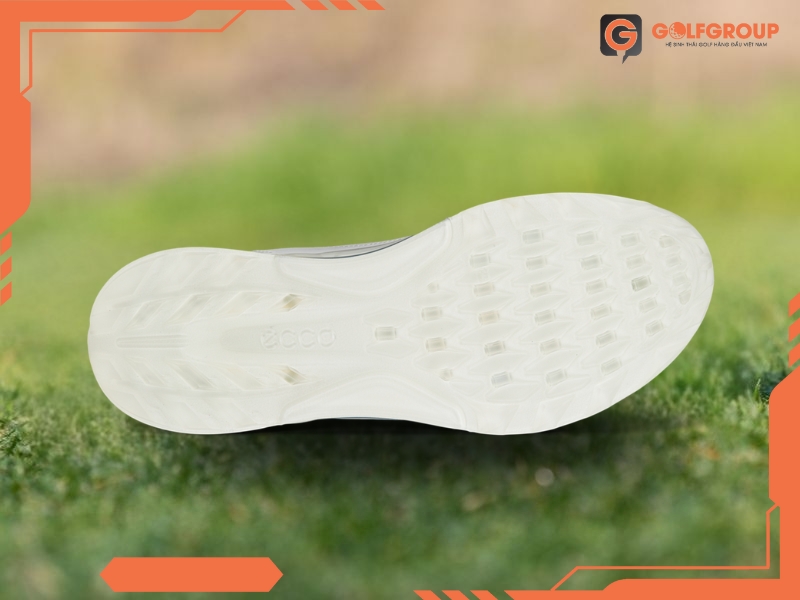 Giày Golf ECCO M Golf Biom C4 13040401007