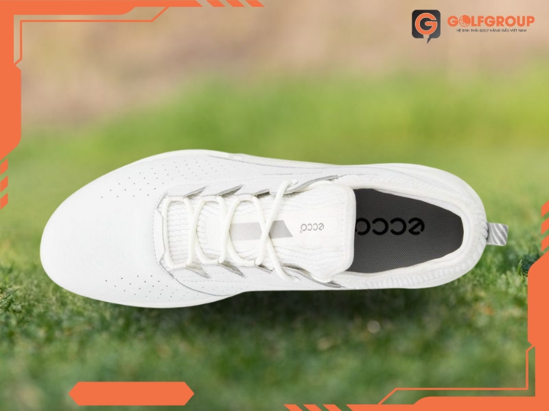 Giày Golf ECCO M Golf Biom C4 13040401007