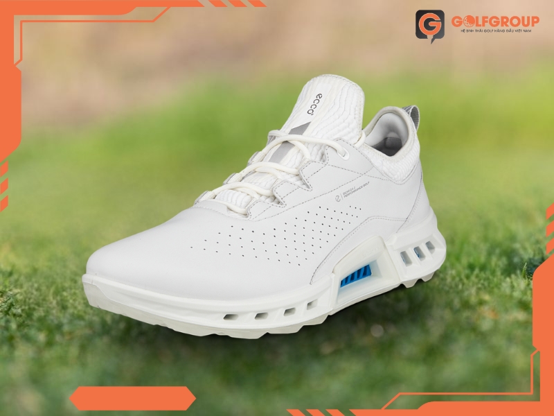 Giày Golf ECCO M Golf Biom C4 13040401007