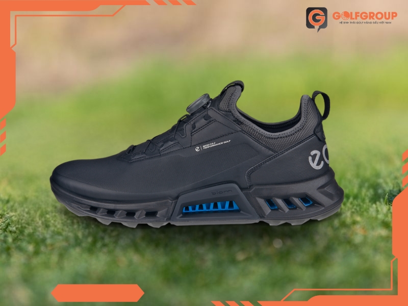 Giày Golf ECCO M Golf Biom C4 13042401001