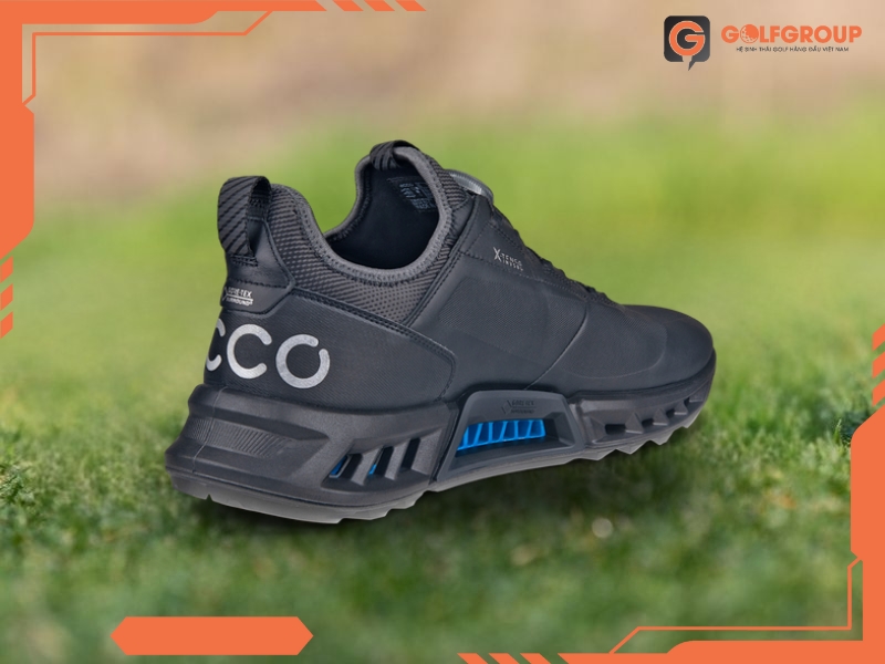 Giày Golf ECCO M Golf Biom C4 13042401001