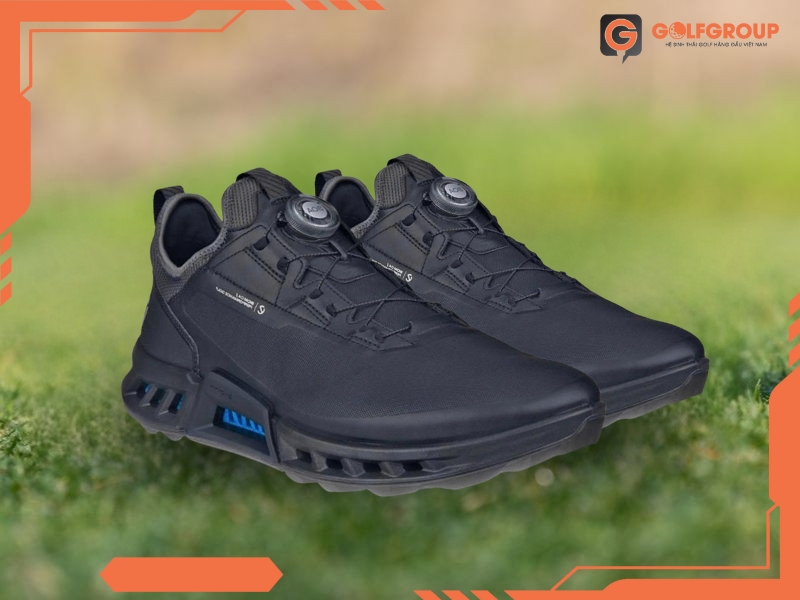 Giày Golf ECCO M Golf Biom C4 13042401001