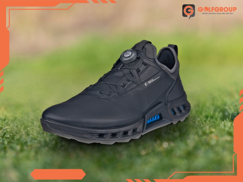Giày Golf ECCO M Golf Biom C4 13042401001