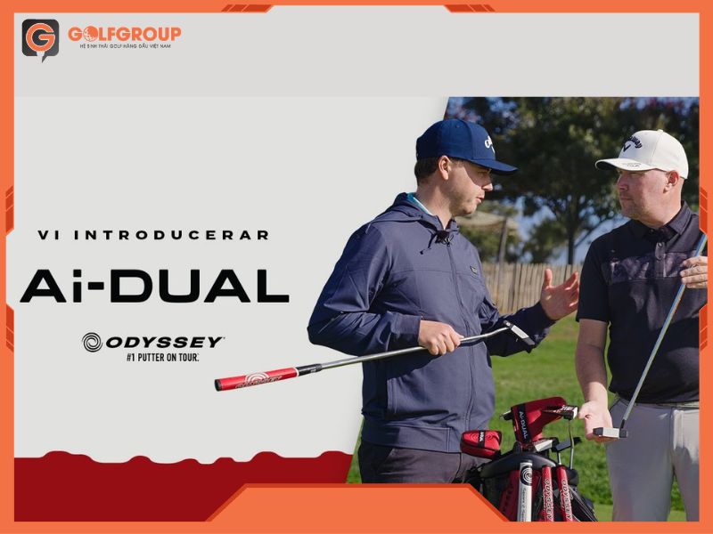 Gậy golf Putter Odyssey AI Dual 2 Ball BD phù hợp với nhiều nhóm golfer khác nhau.