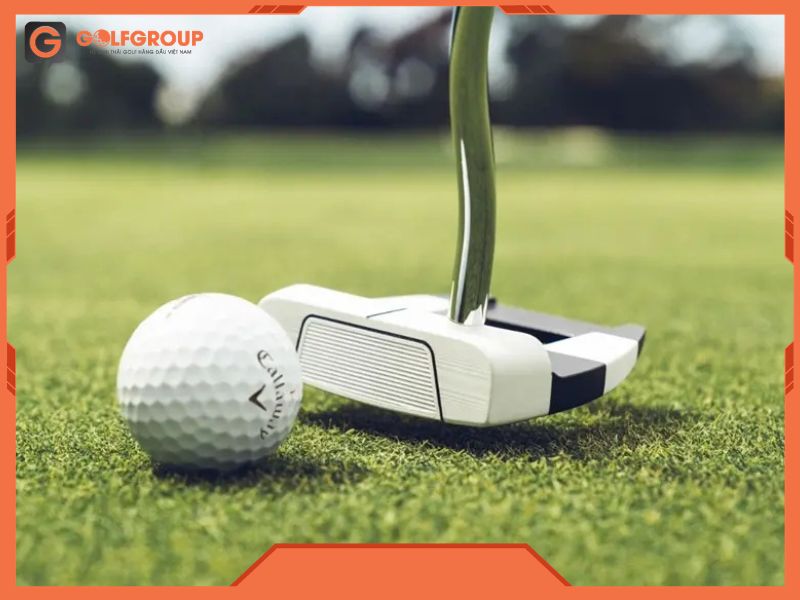 Hệ thống 1/2 Ball giúp mắt nhận diện lệch tâm nhanh, giảm sai số ngay từ bước căn chỉnh ban đầu.