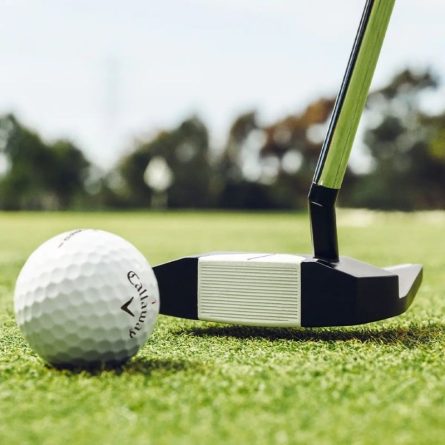 hinh-anh-san-pham-gay-golf-putter-odyssey-ai-dual-#7-1_2-ball-s-4